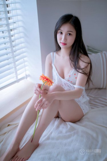 数码宝贝tri