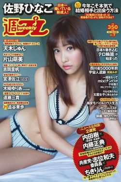 一本网